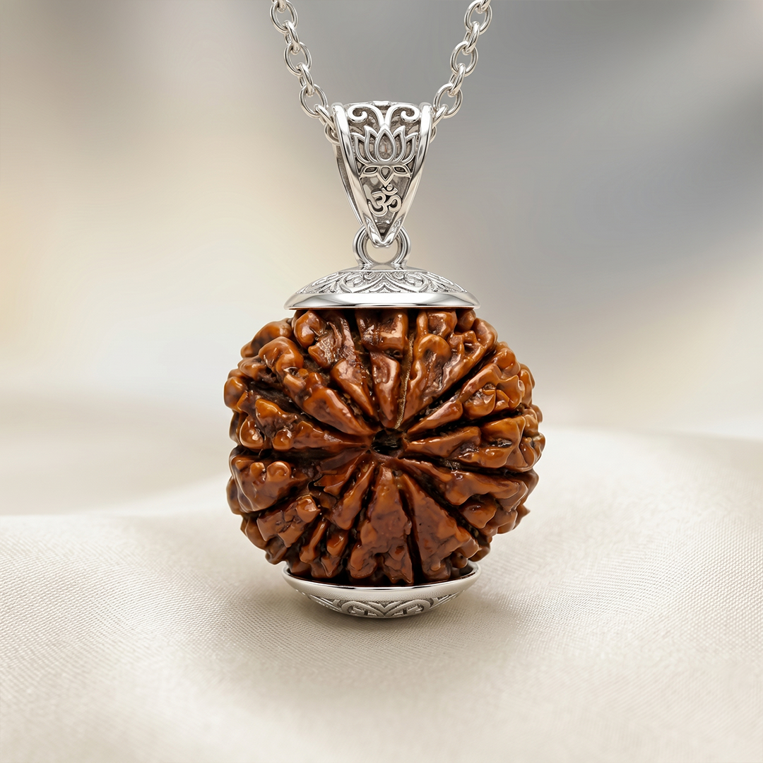 13 MUKHI RUDRAKSHA Regular