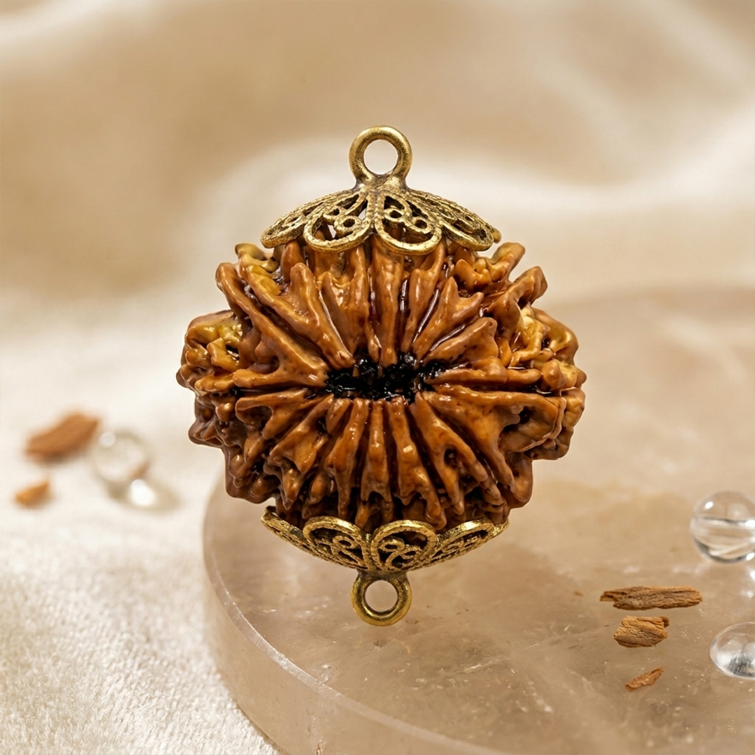 14 MUKHI RUDRAKSHA Premium
