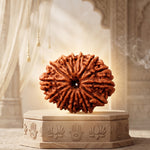 15 Mukhi Rudraksha Collector