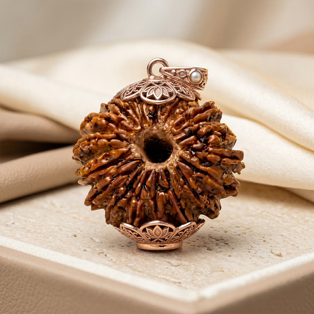 17 MUKHI RUDRAKSHA Regular