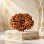 18 Mukhi Rudraksha Premium