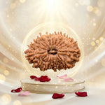 18 Mukhi Rudraksha Unique
