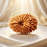 19 Mukhi Rudraksha Premium