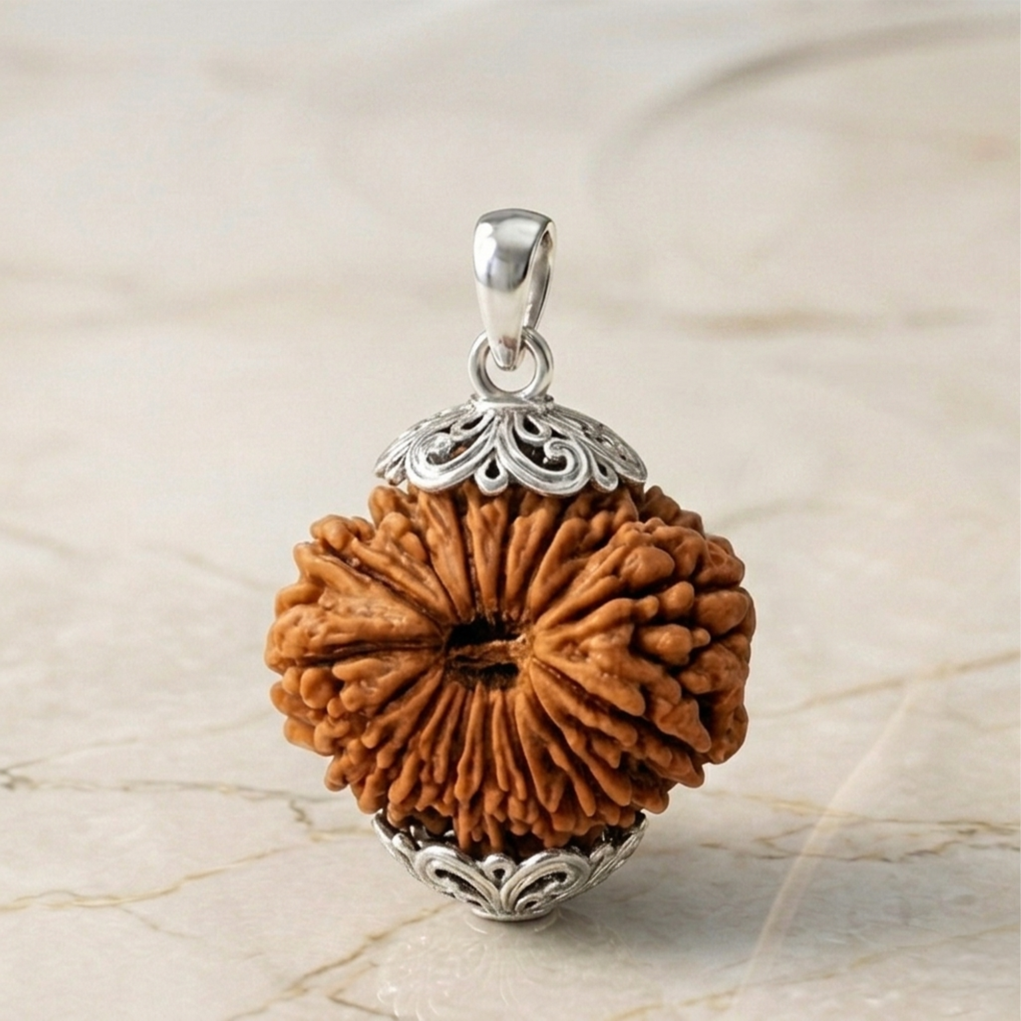 19 MUKHI RUDRAKSHA Premium