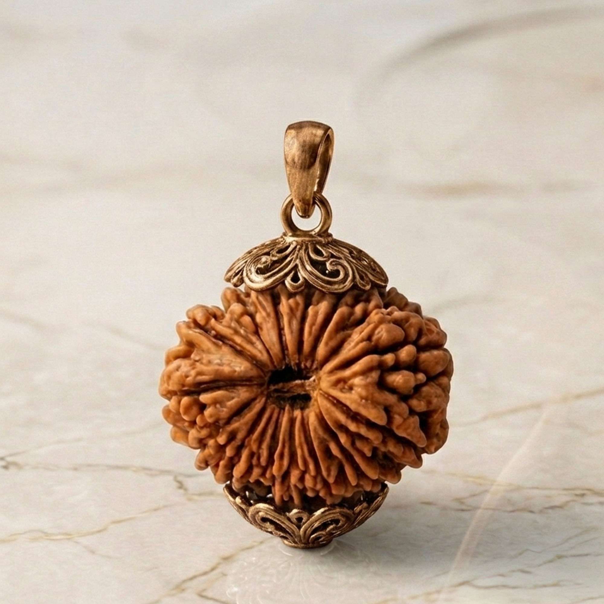 19 MUKHI RUDRAKSHA Premium