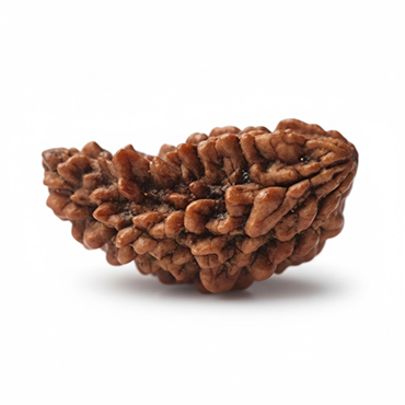 1 MUKHI Kaju (Unique Price)
