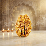 1 Mukhi Rudraksha Gol (Himalaya) Premium