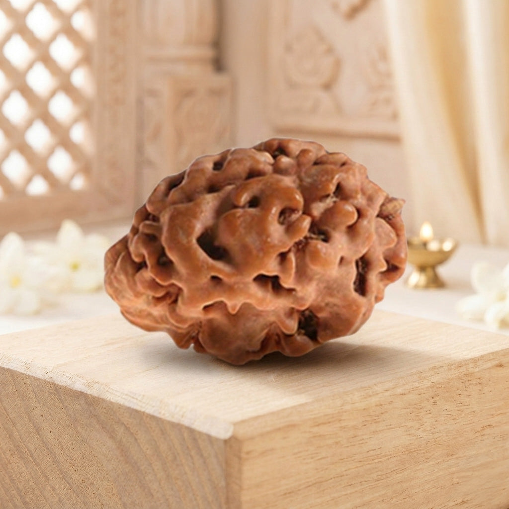 1 Mukhi Gol (Himalaya) Regular