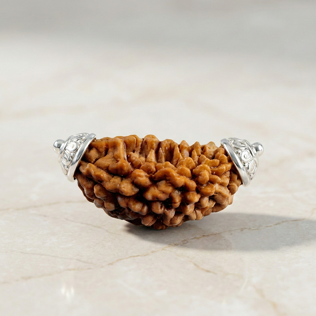 1 Mukhi Kaju (Regular)