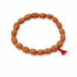 2 Mukhi Rudraksh Bracelet