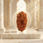 21 Mukhi Rudraksha Unique
