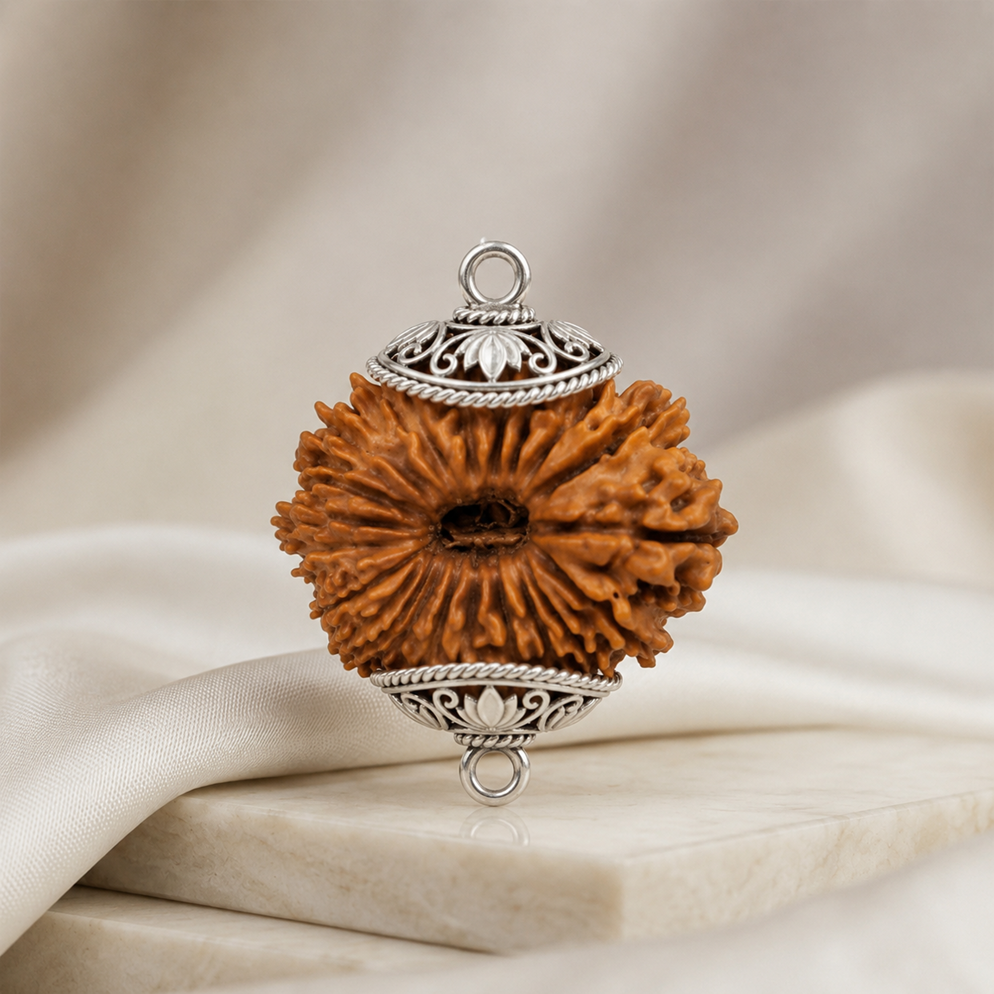 21 MUKHI RUDRAKSHA Collector