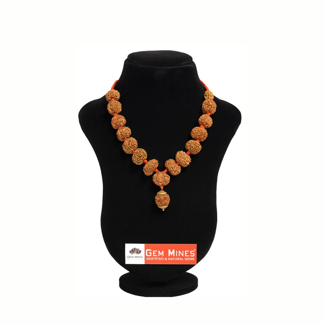 Nepali Rudraksha Mala Collector