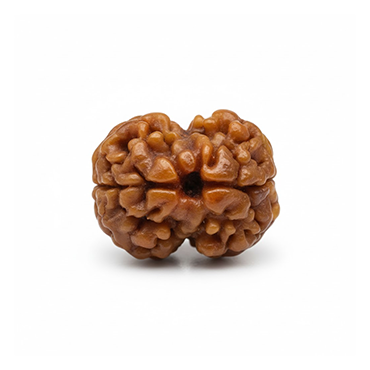 2 MUKHI Nepali Collector