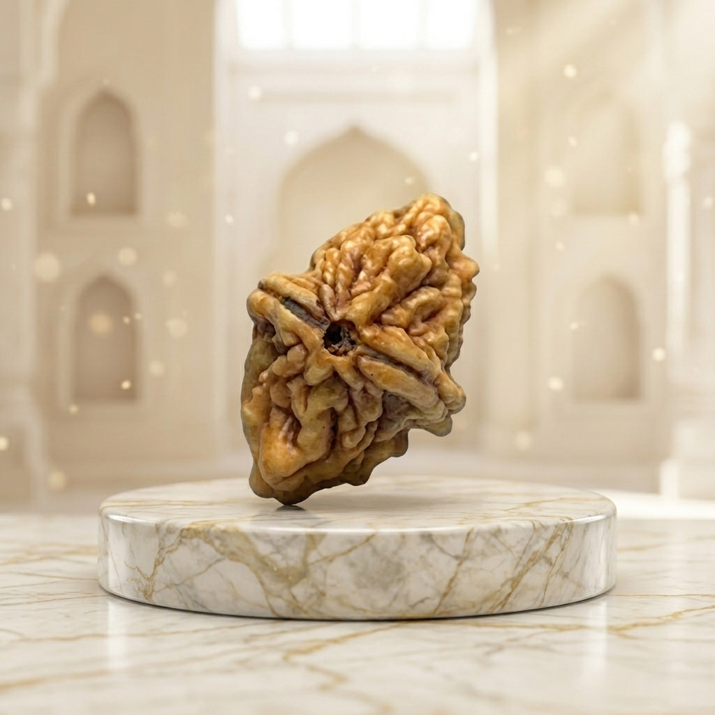 2 MUKHI North India (Himalaya) Unique