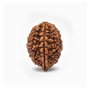 2 MUKHI South India Collector