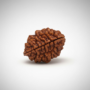 2 MUKHI South India Premium