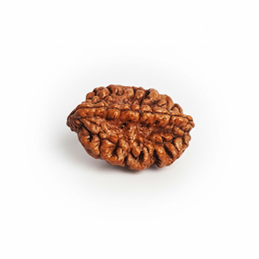 2 MUKHI South India Regular