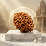 2 Mukhi Rudraksha Indonesian Unique