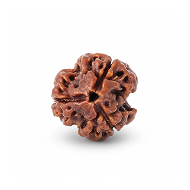 3 MUKHI RUDRAKSHA