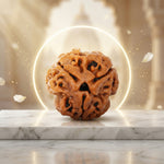3 Mukhi Rudraksh (Unique) Nepal