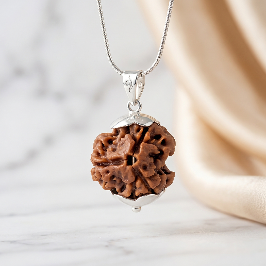 3 MUKHI RUDRAKSHA Collector