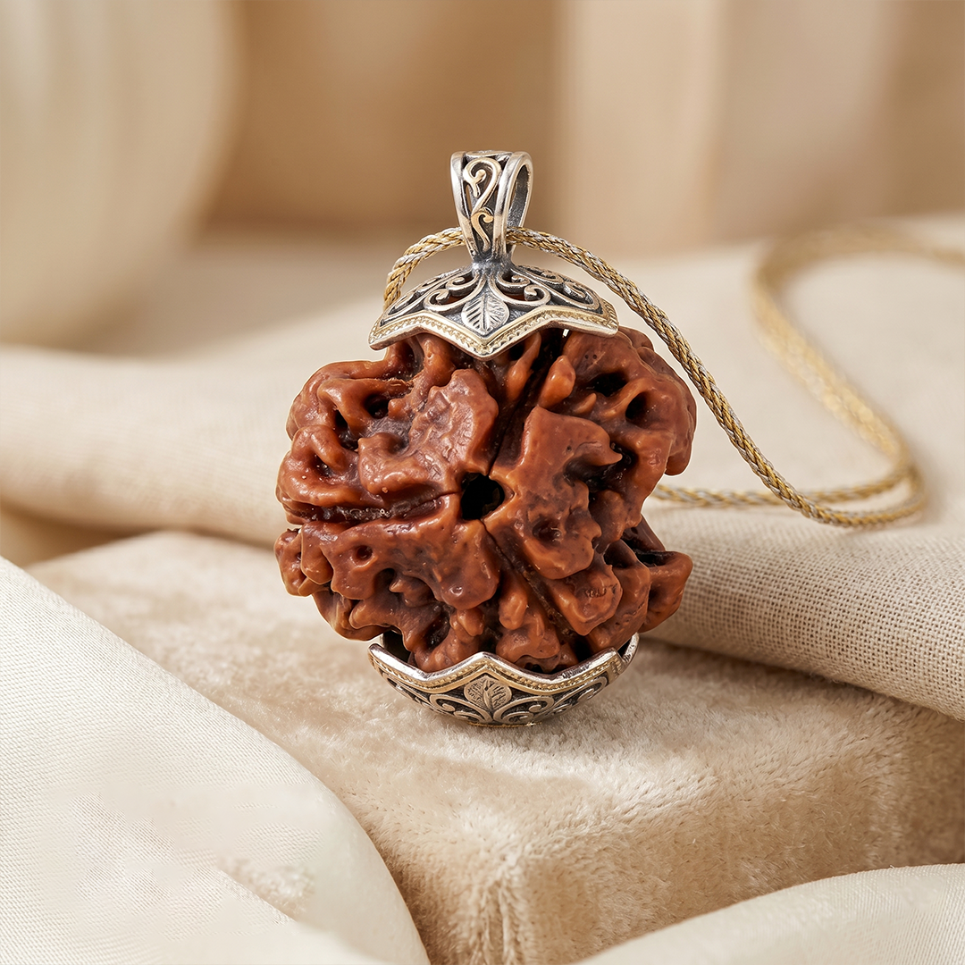 3 Mukhi Rudraksha Unique