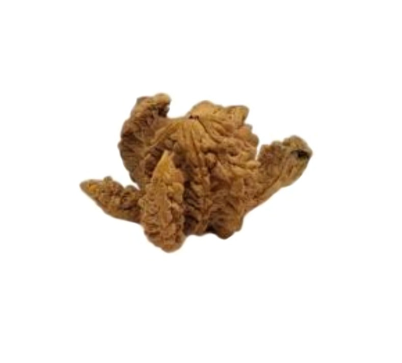 Kamal Rudraksha Regular