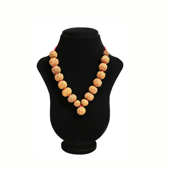Nepali Rudraksha Mala Collector
