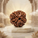 4 Mukhi Rudraksha Nepali Regular