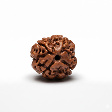 4 MUKHI RUDRAKSHA Regular