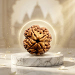 4 Mukhi Rudraksh (Premium) Indonesia