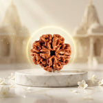 4 Mukhi Rudraksh (Unique) Indonesia