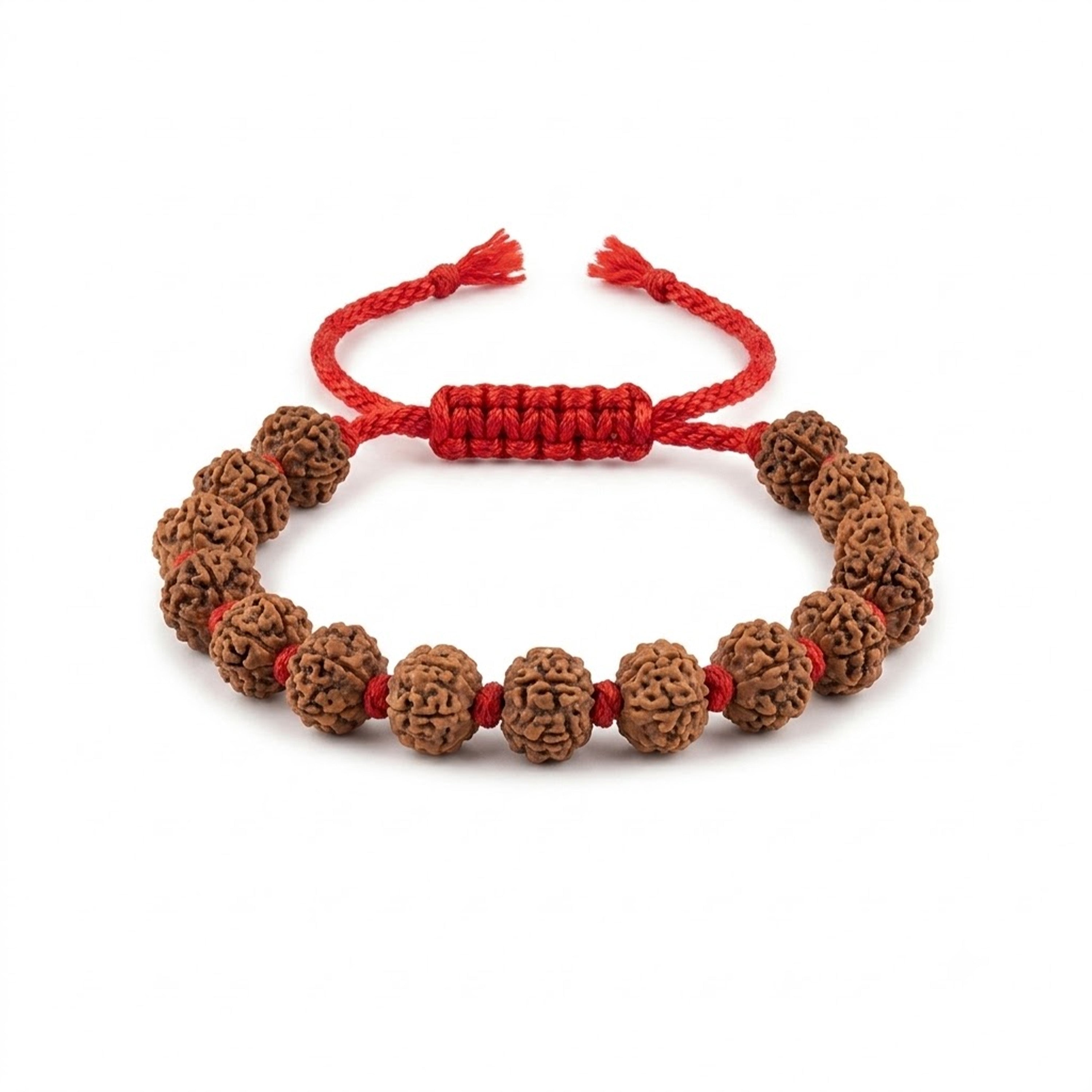 9 Mukhi Rudraksh Bracelet with Knot