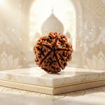 5 Mukhi Rudraksha Indonesia Regular
