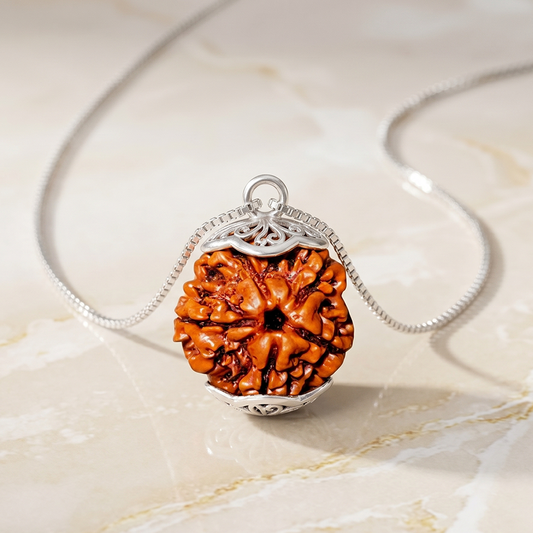 5 MUKHI RUDRAKSHA Regular