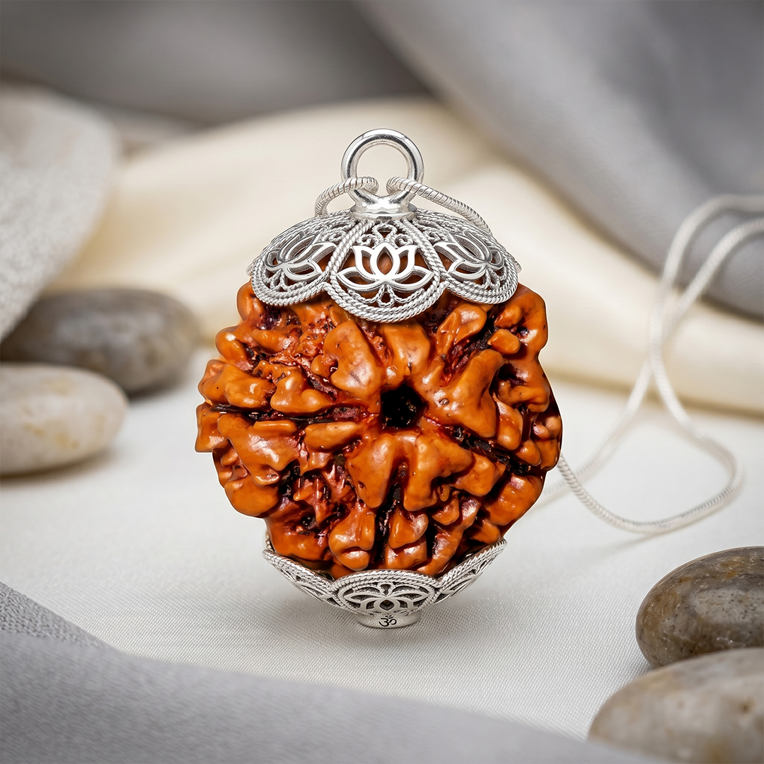 5 MUKHI RUDRAKSHA Regular
