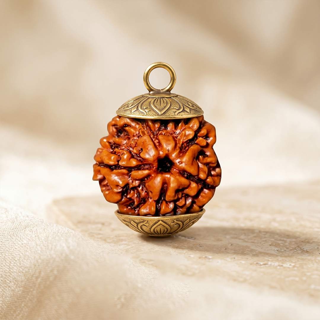 5 Mukhi Rudraksh (Unique) Nepal