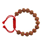 10 Mukhi rudraksha Bracelet