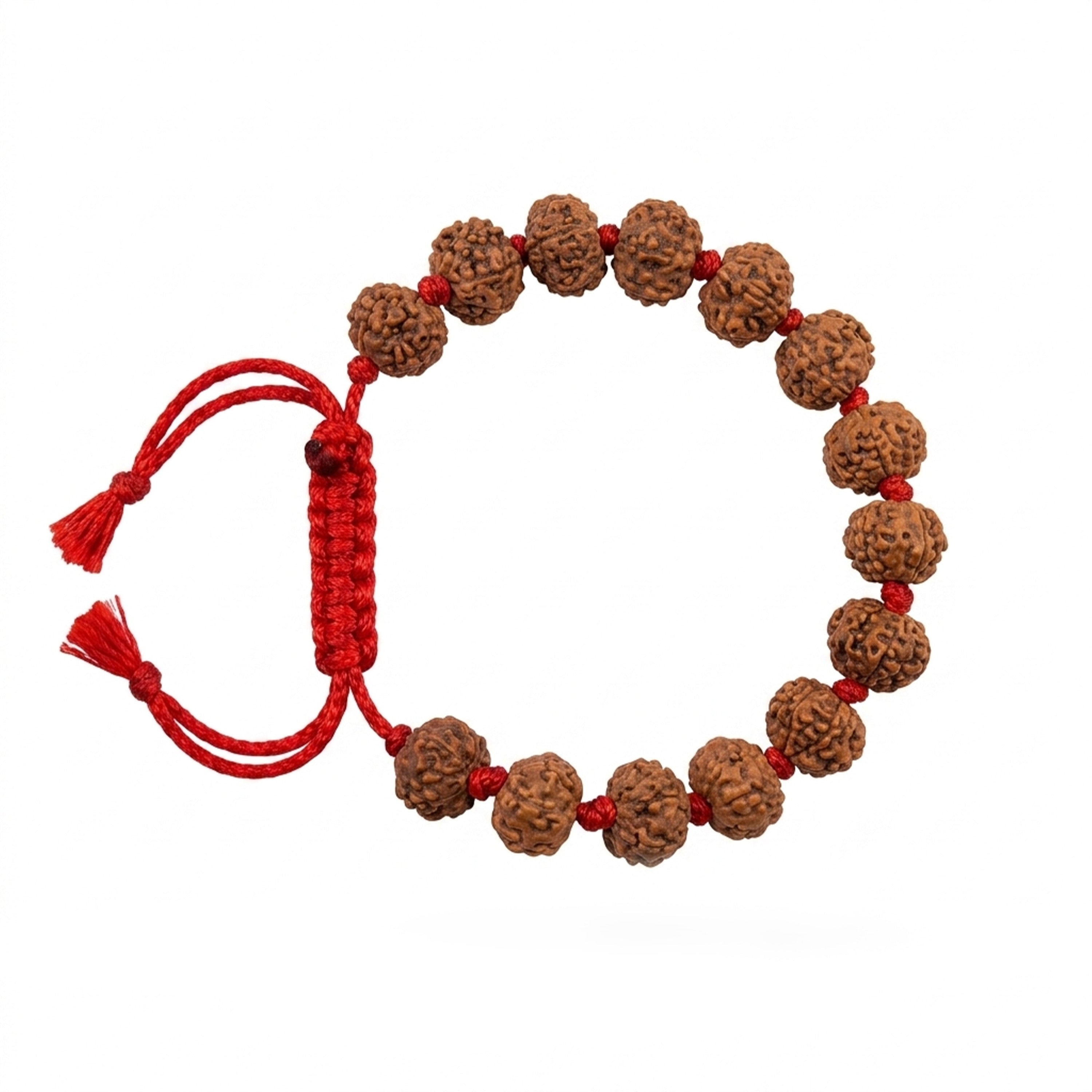 10 Mukhi rudraksha Bracelet