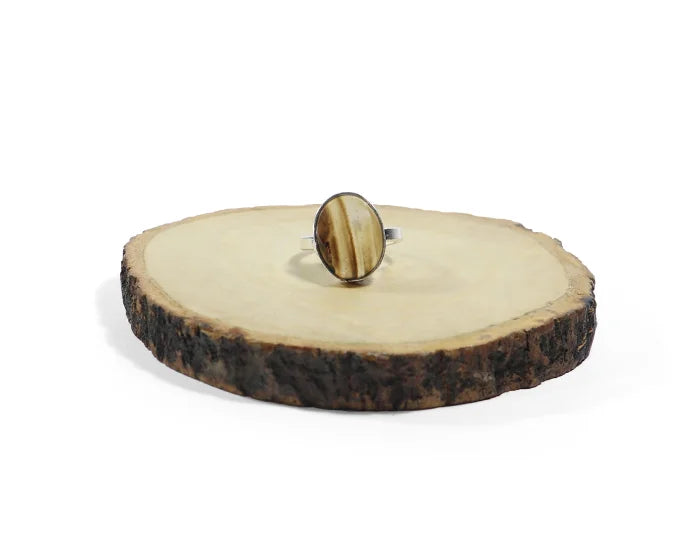 Tiger's Eye Oval Cabochon Ring Silver Band