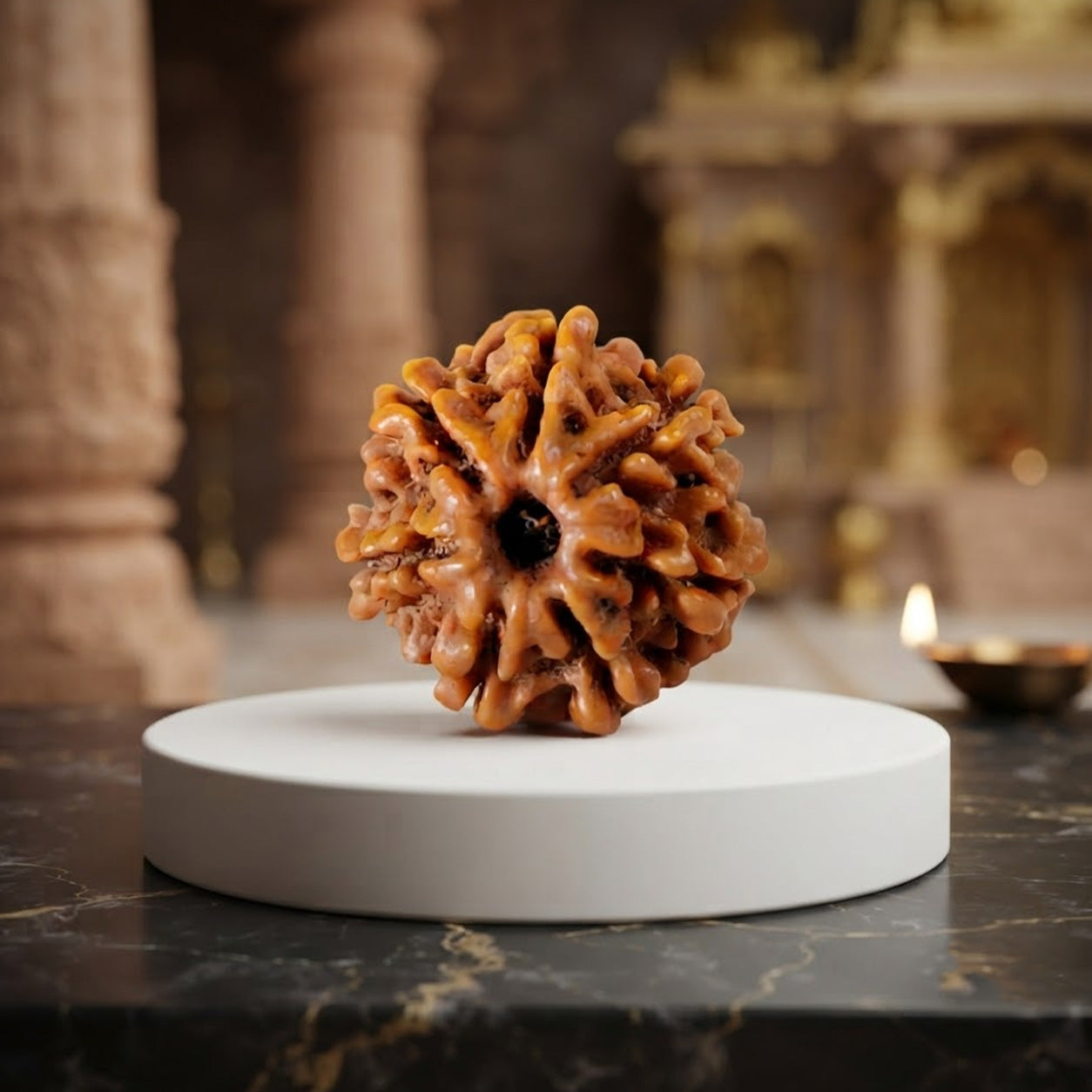 7 Mukhi Rudraksh (Premium) Nepal