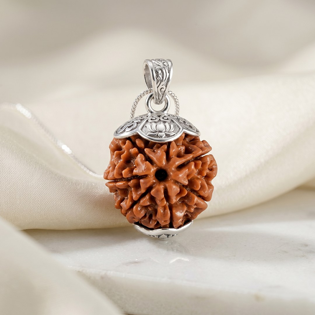 7 MUKHI RUDRAKSHA Premium