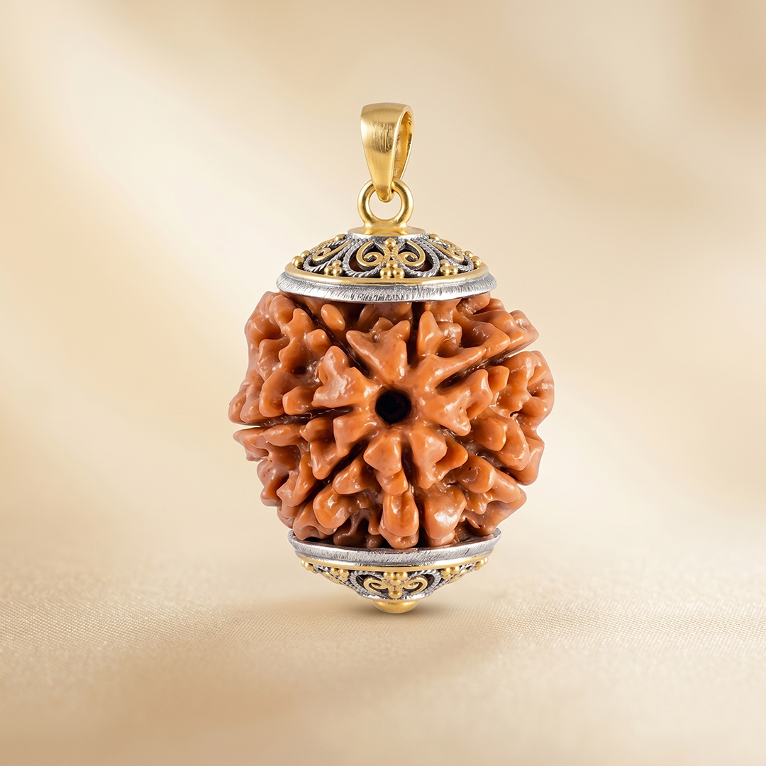7 MUKHI RUDRAKSHA Premium