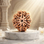 8 Mukhi Rudraksh (Regular) Nepal