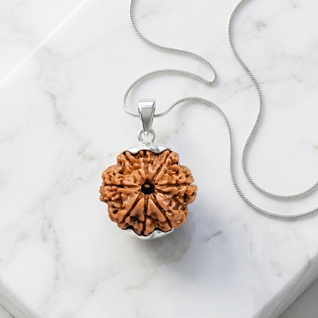 8 MUKHI RUDRAKSHA Regular