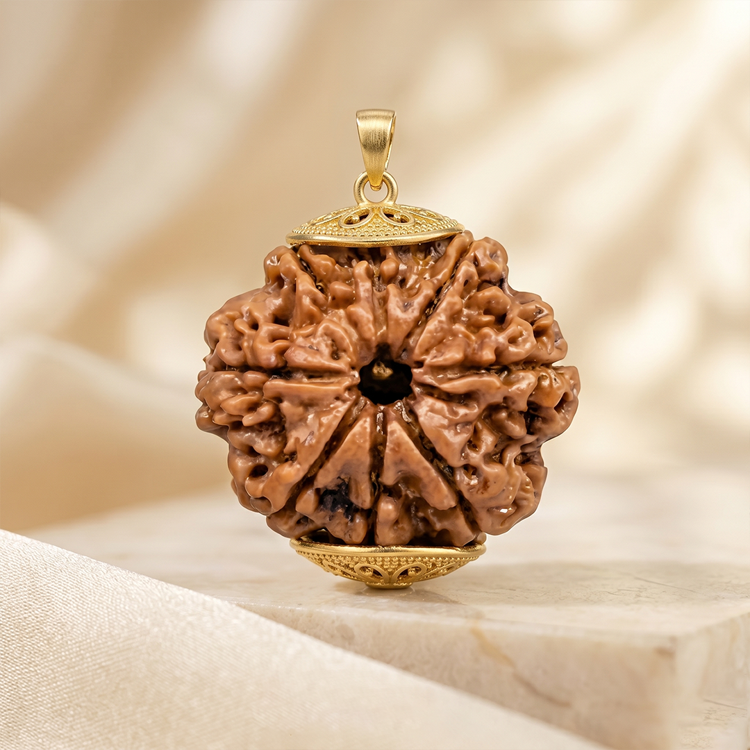 8 MUKHI RUDRAKSHA Regular