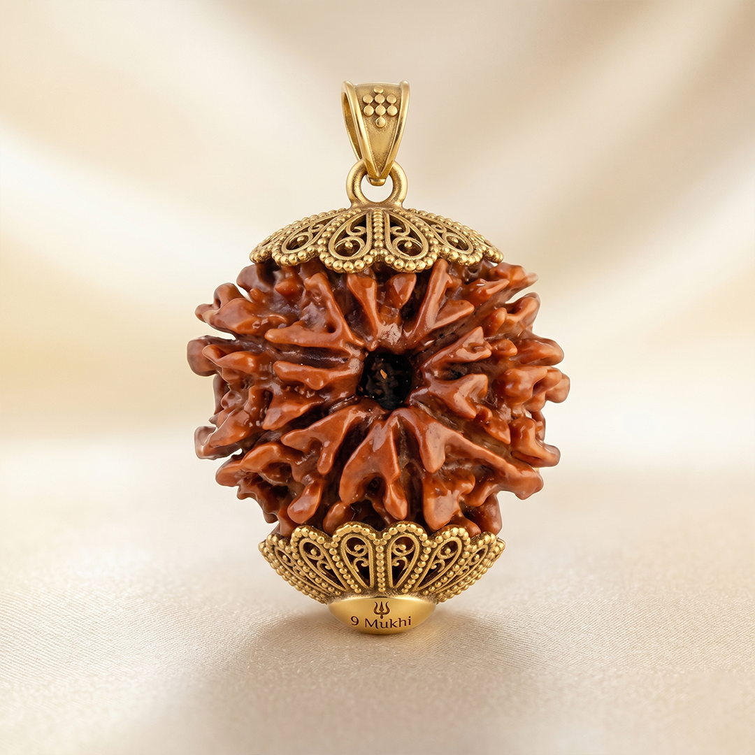 9 MUKHI RUDRAKSHA Unique