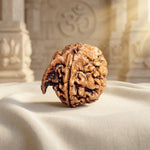 GANESH RUDRAKSHA Regular