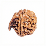 GANESH RUDRAKSHA Regular
